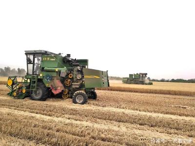 昔日生活苦，今天美滋滋——記襄城縣范湖鄉凹郭村王清坤的農機租賃致富路